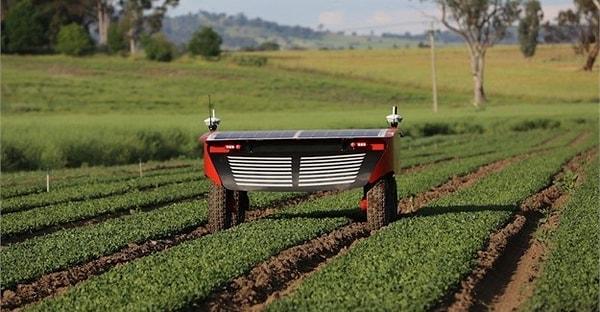 5. Britanya'da yakında yapay zeka çiftçi robotlar tarım yapamaya başlayacak ve bununla birlikte sahipleri tarlalara adım bile atmak zorunda kalmayacak.