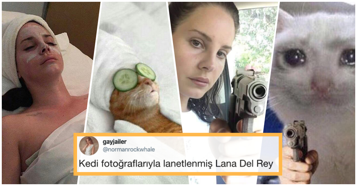 2. 1. Twitter'dan gayjailer Lana Del Rey'i benzettiği kedileri bi...