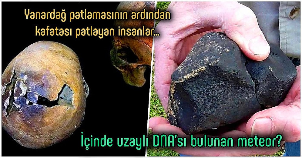 Acayip Bilgiler Kuşağı: Yaşattıkları Şaşkınlıkla "Böyle Bir Şey Olabilir mi?" Dedirten 15 İlginç Gerçek