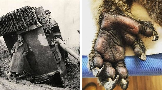 19 фотографий, которые докажут, что вы видели еще далеко не все :)