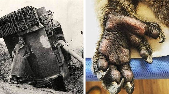 19 фотографий, которые докажут, что вы видели еще далеко не все :)