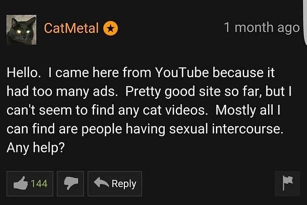4. "Selam. Buraya YouTube'dan geldim çünkü çok reklamı vardı. Oldukça iyi bir site ama hiç kedi videosu bulamıyorum. Çoğunlukla bulabildiğim cinsel ilişkiye giren insanlar. Yardım edebilecek var mı?"