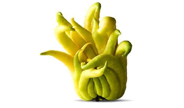 5. Рука Будды