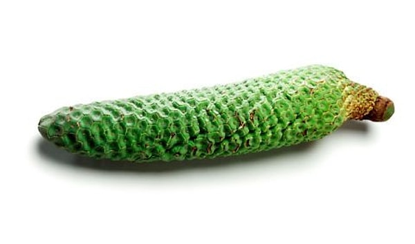 6. Монстера Делициоза