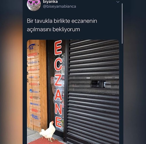 Ülkemizde Her An Çok Acayip Garipliklere Hazırlıklı Olmamız Gerektiğini İspatlayacak 15 Paylaşım