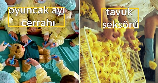 Diplomamı Yaktım Bile! Görünce Şaşkınlığınızı Gizleyemeyeceğiniz Dünyanın En Garip Meslekleri