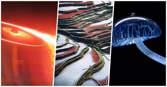 Hizmet Ayağınıza Geldi! Instagram'a Girdiği An Bilgiye Doymak İsteyenlerin Mutlaka Takip Etmesi Gereken 25 Profil