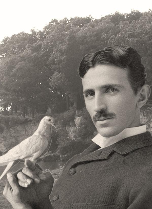 Yaklaşık 30 yıl boyunca güvercinleri parklarda besleyen Tesla, gece yarısı New York parklarına gider, ıslık çalarak güvercinleri etrafına toplardı.