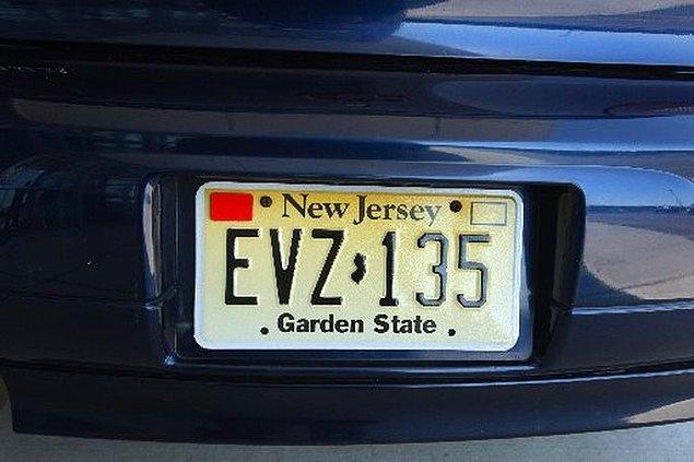 4. New Jersey'de 21 yaşın altındaki sürücüler arabanın genç birisi tarafından sürüldüğünün anlaşılması için plakalarına yansıtıcı etiket yapıştırmak zorundadırlar. Ayrıca araba sürebilecekleri süre de kısıtlanmıştır.