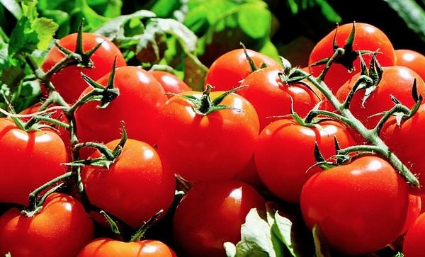 20. Avrupalılar ilk kez domates gördüklerinde yemek istememişlerdi.