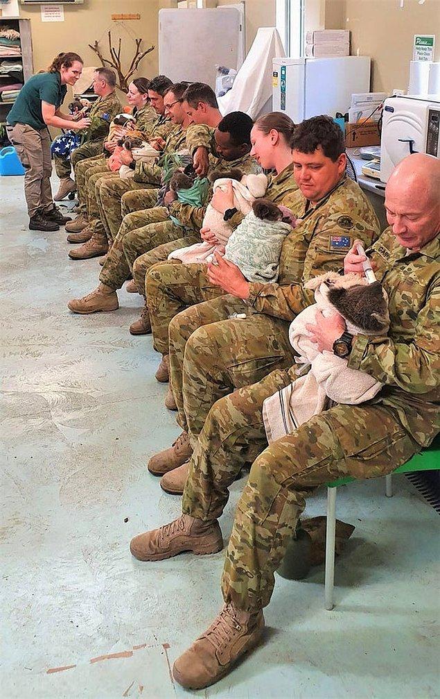 12. Avustralyalı askerler istirahat saatlerini evlerinden olan koalalara yardım etmek için harcamaya karar vermişler 👏