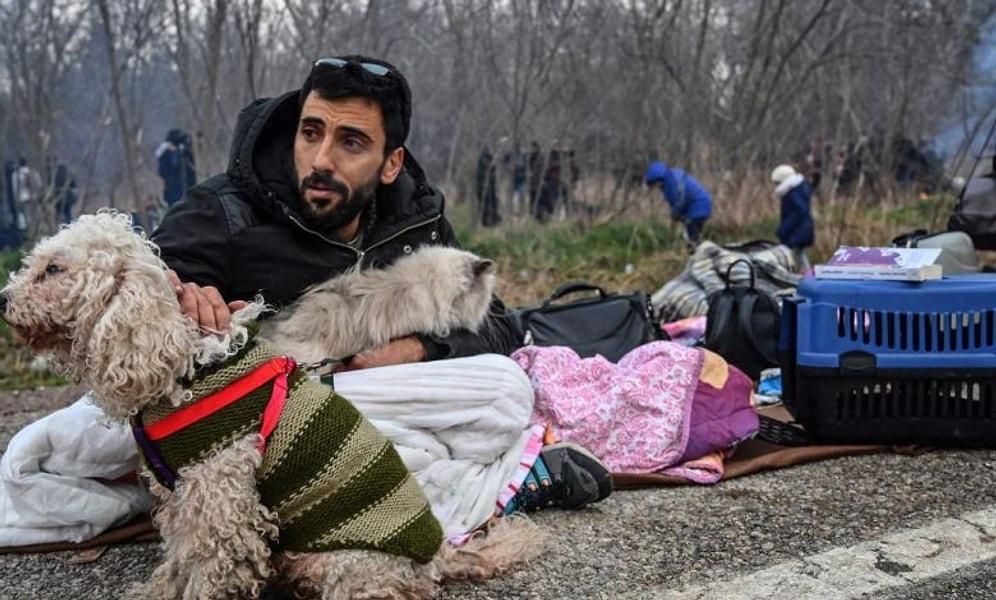 Sınırda Bekleyen Filistinli Mülteci Ahmed'in Kedi ve Köpeğine Hayvanseverler Sahip Çıktı