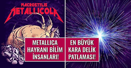 Geçtiğimiz Hafta Bilim Dünyasında Yaşanan Birbirinden İlginç Gelişmeler!