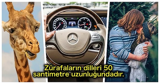 Bu Yaşa Kadar Nasıl Duymamışım Diyerek Kültür Seviyenizi Sorgulamanıza Sebep Olacak 23 Bilgi