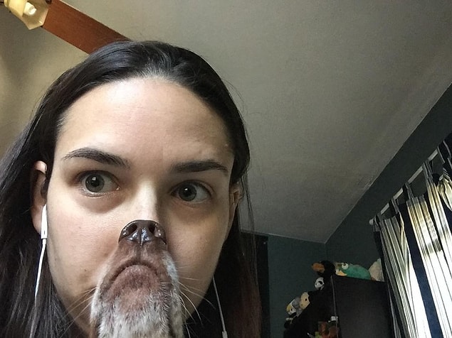 8. "Köpeğimle tatlı bir fotoğraf çekmeye karar vermiştim. Sonuç bu oldu."