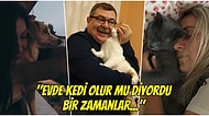 Başta 'O Hayvan Bu Eve Gelirse Ben Giderim' Diye İtiraz Edip Sonra Öz Evladından Üstün Tutan Anne Babaların Minnoş Halleri