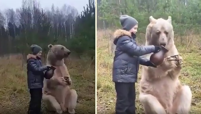 Ayıya İçecek Doldurup Duran Ufaklığın Korkusuz Anları!