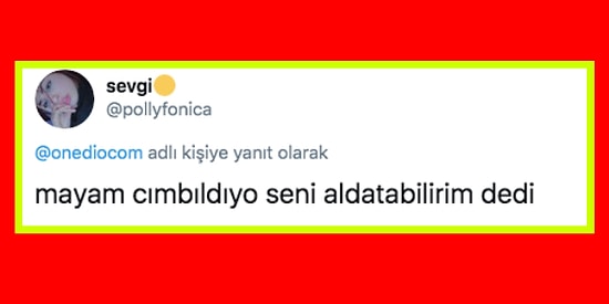 Sevgililerinden/Flörtlerinden Gelen En Saçma Mesajı Bizimle Paylaşırken Hepimizi Şaşkına Çeviren 15 Takipçimiz
