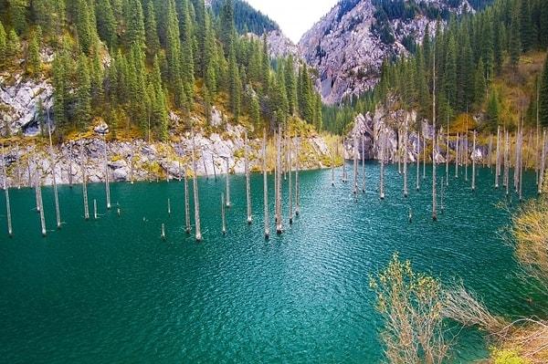 6. Kazakistan'daki Kaindy Gölü'nde 1911'deki depremin sonucunda oluşan bir su altı ormanı vardır.