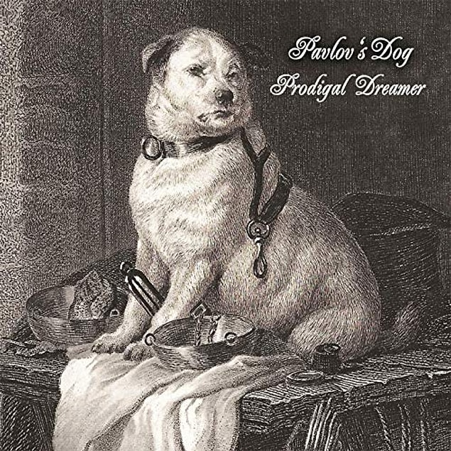 2. "Pavlov'un da muhtemelen zil sesi duyunca aklına köpeklerini beslemek geliyordu."
