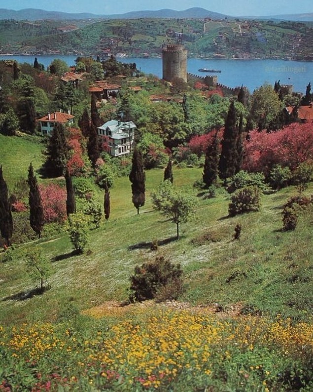 8. İstanbul, 1960.