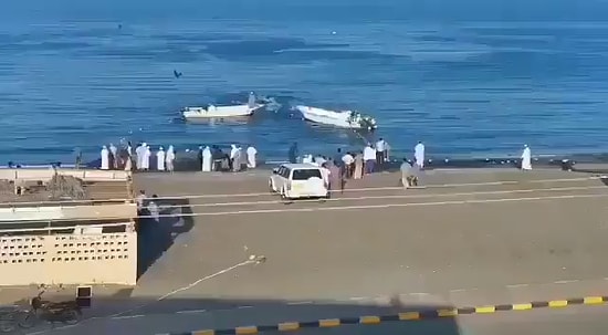 В ОАЭ погибли два человека от нападения рыб