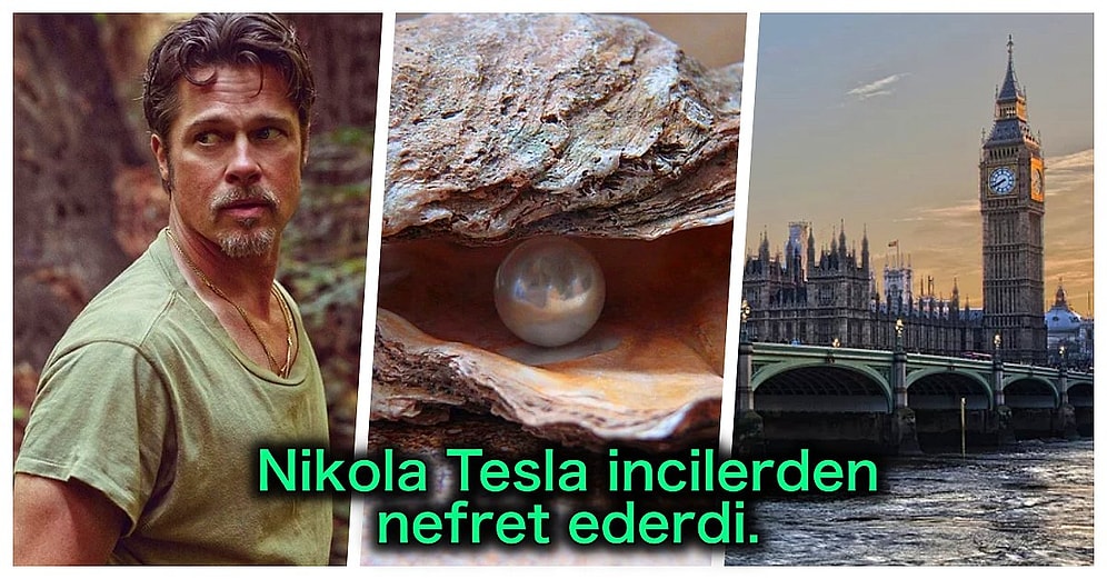 Bugüne Kadar Hiçbir Yerde Duymadığınızı İddia Ettiğimiz Birbirinden Acayip 24 Genel Kültür Bilgisi