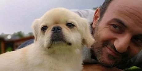 Survivor'da Herkes Üzgün: Köpeği Ölen Ersin Korkut'a Kötü Haberi Kimse Veremedi