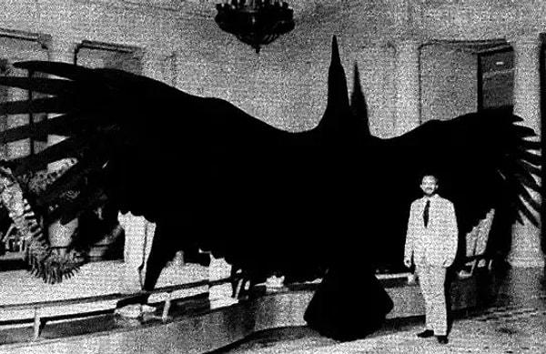 14. Tarihte yaşamış en büyük kuşun kanat genişliği yaklaşık 6 metreymiş ve bundan 60 milyon yıl önce yaşamış.