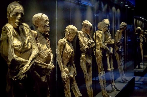 15. Araştırmacılar, Guanajuato mumyalarının yüzündeki korkunç ifadelerin nedenini canlı canlı gömülmelerinden kaynaklandığını söylüyor.