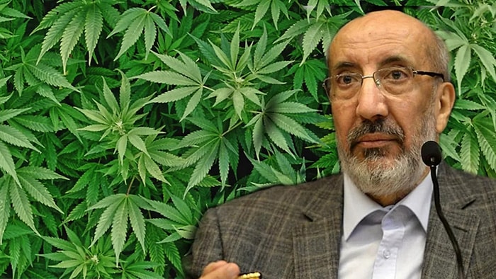 Dilipak'ın Gündemi Yine Esrar: 'Koronavirüse Karşı En Etkili Korunma Yolu THC ve CBD'