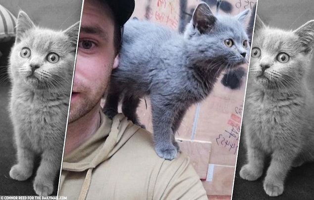 Peki ya akıl sağlığın? Ya da görüştüğün insanların akıl sağlığı ne durumda?