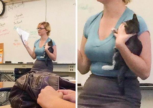 16. "Öğretmenimiz ders anlatırken bir kediyi sahiplendi."