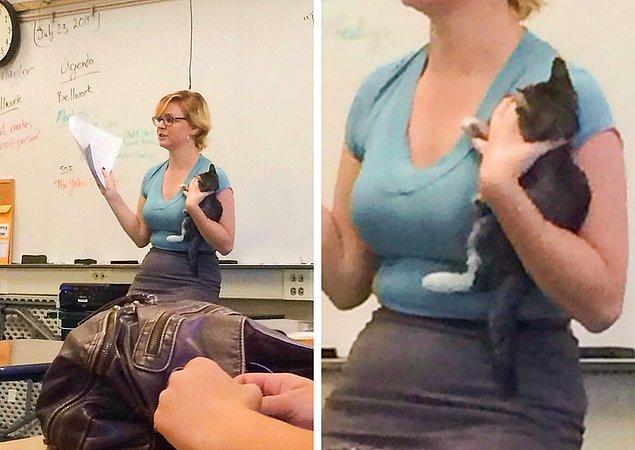 16. "Öğretmenimiz ders anlatırken bir kediyi sahiplendi."