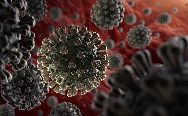 "SARS virüsünün testislerde ciddi hasara yol açtığı gözlemlenmişti"