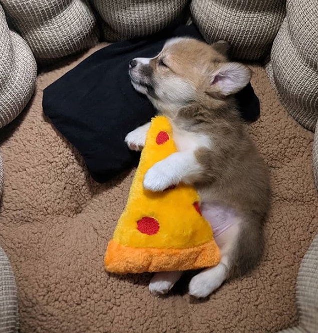 16. Uyku ile pizza arasında kalınca...