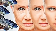 Bilim İnsanları Kremlere ve Doktorlara Para Dökmeden Genç Kalmanın Yolunu Açıkladı