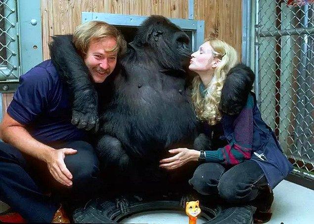 4. İşaret dili kullanmasıyla ünlü goril Koko'ya gorillerin ölünce nereye gittiği sorulunca, Koko "Rahat delik, bye" cevabını vermiştir.