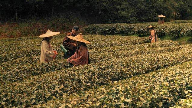 9. 1848'de Britanya Doğu Hindistan Şirketi, çay yaprağını çalması için yabancıların girmesi yasak olan Çin'in iç bölgelerine botanikçi Robert Fortune'u göndermiştir. Hırsızlığını başarıyla tamamlayan Robert Fortune sayesinde Hindistan kısa sürede çay yetiştiriciliğinde Çin'i geçmiş ve dünyanın en büyük çay yetiştiricisi olmuştur.