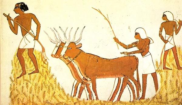 Bir zamanlar, tarım devriminden 4.000 ila 8.000 yıl sonra, insan üremesinde çok garip bir şey oldu.