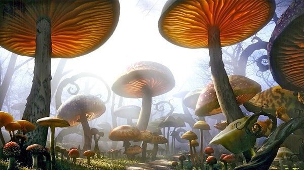 2. 350 миллионов лет назад грибы были больше деревьев