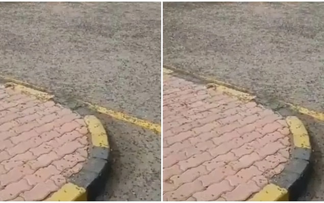 Karıncaların istilası vatandaşlar arasında büyük şaşkınlığa yol açarken, resmi makamlardan konuyla ilgili açıklama yapılmadı.
