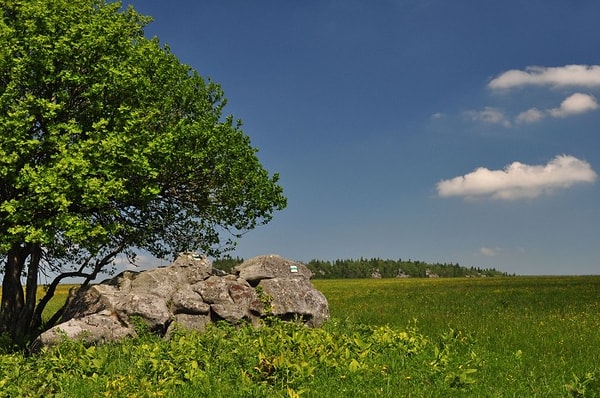 8. Кудова-Здруй -Польша