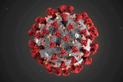 Yeni Koronavirüs İçin İlk Aşı Denemesi Yapıldı!