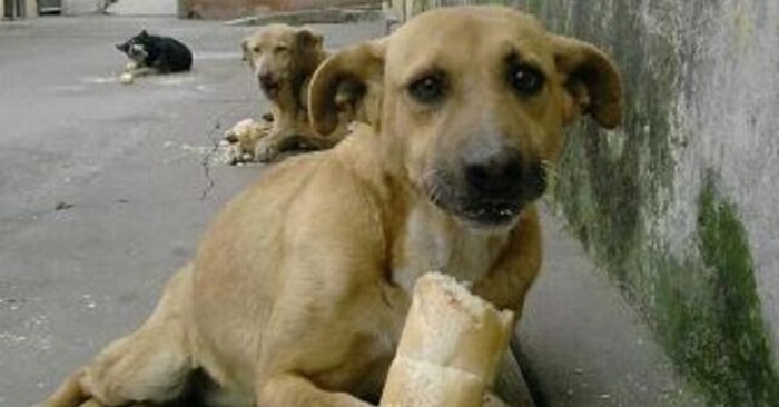 Flörtünü Hangi Özelliğinle Bıkıp Usandırıyorsun?