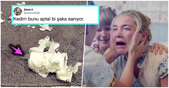 Koronavirüs Nedeniyle Kendilerini Self Karantinaya Alırken 14 Gün Kurallarını Güldürerek Hatırlatan 15 Uluslararası Mizahşör