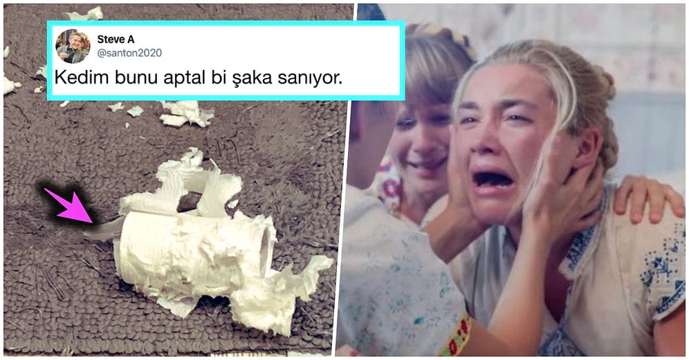 Koronavirüs Nedeniyle Kendilerini Self Karantinaya Alırken 14 Gün Kurallarını Güldürerek Hatırlatan 15 Uluslararası Mizahşör