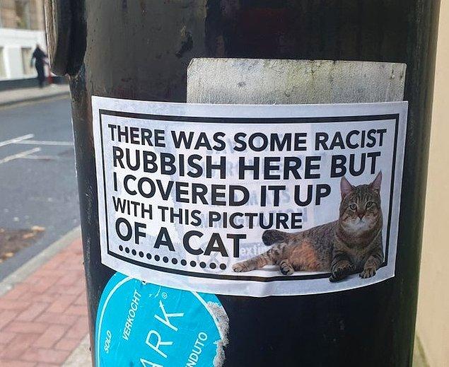 9. "Burada yazan ırkçı söylemi, bu kedi fotoğrafı ile kapattım."