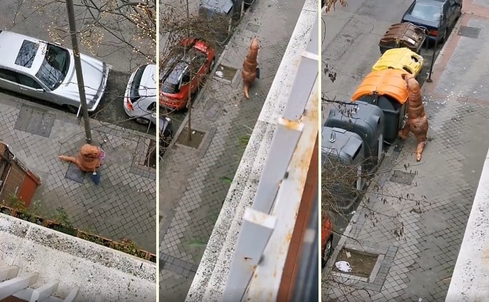 İtalya'da Karantina Bölgesinde Koronavirüsten Korunmak İçin T-Rex Kostümü Giyen Vatandaş