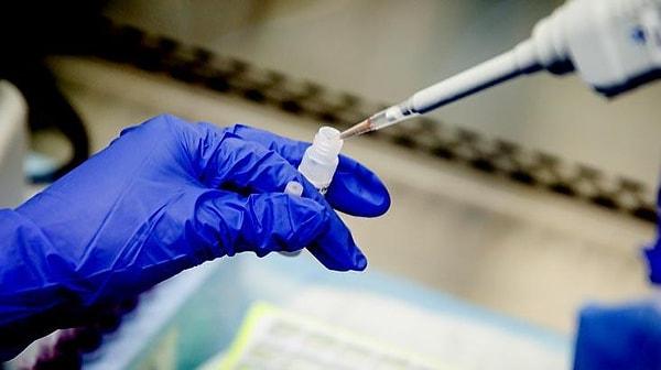 Oxford Üniversitesi Profesörü: "Koronavirüs aşısı 'Eylül'e kadar hazır olabilir"